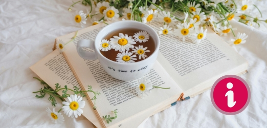 es liegt ein aufgeschlagenes Buch auf einem weißen Tuch, darüber ganz viele Margariten-Blumen